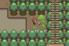 Pokemon Unbound